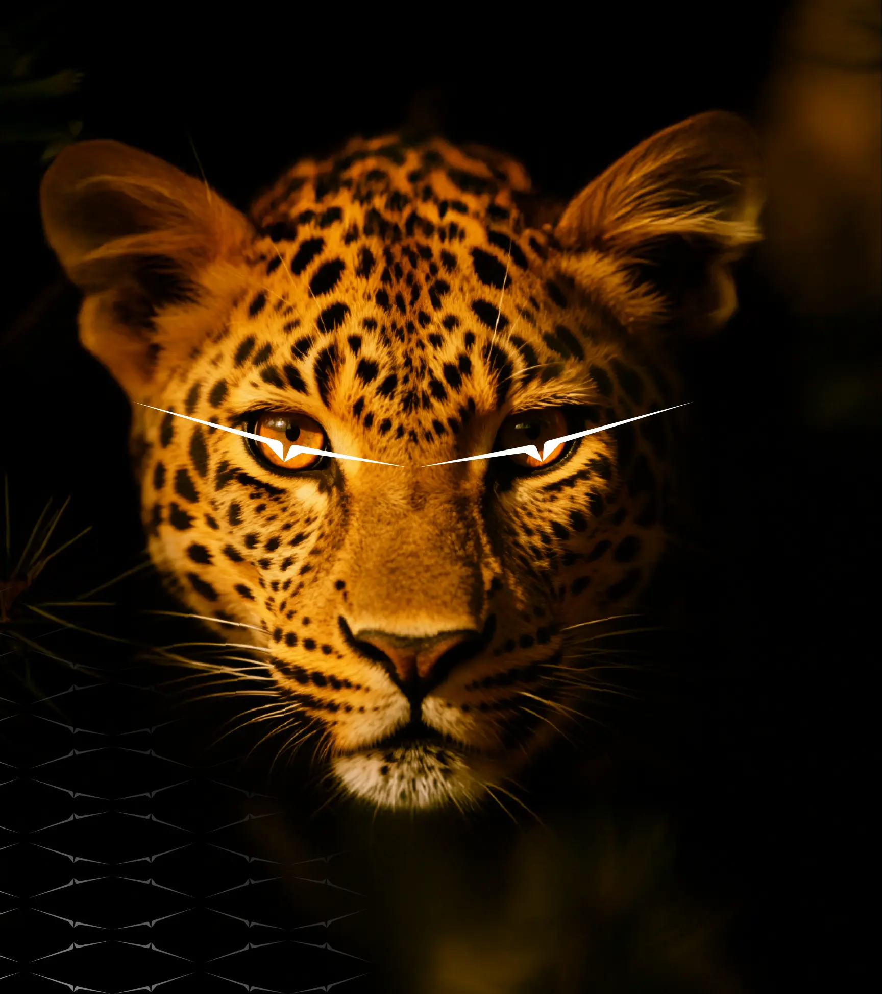 MODELLED AFTER THE LEOPARD.
