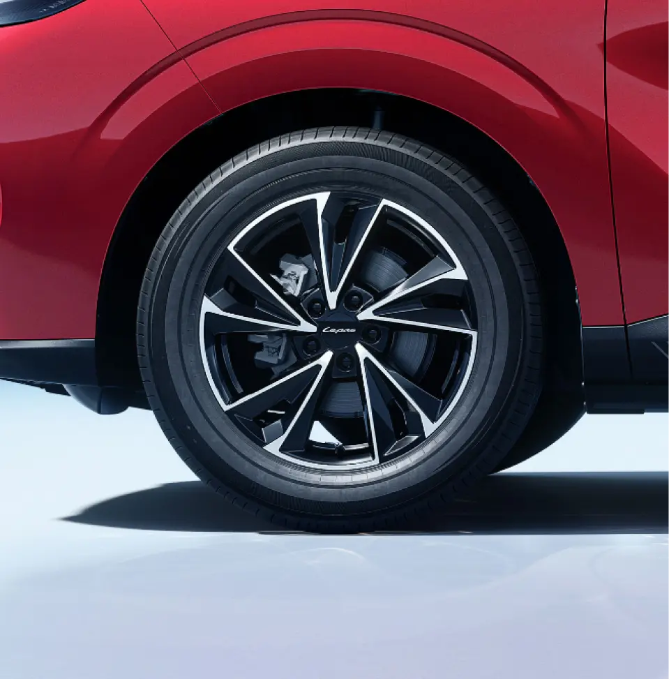 Lepas L4 safety — TYRE PRESSURE MONITORING